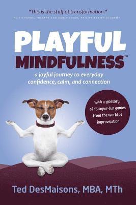bokomslag Playful Mindfulness