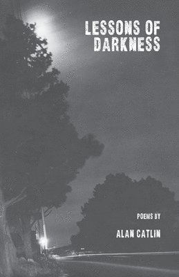 bokomslag Lessons of Darkness