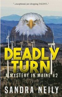 bokomslag Deadly Turn: A Mystery in Maine