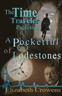 bokomslag The Time Traveler Professor, Book Two