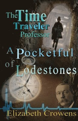 Time Traveler Professor, Book Two