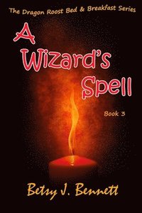 bokomslag A Wizard's Spell