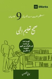 bokomslag Sound Doctrine (Urdu)