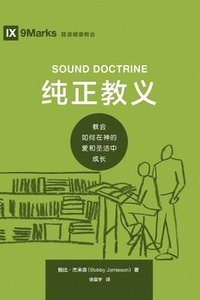 bokomslag &#32431;&#27491;&#25945;&#20041; (Sound Doctrine) (Chinese)