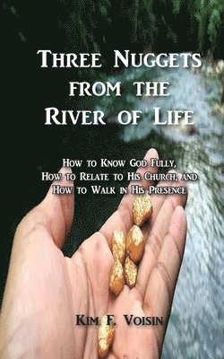bokomslag Three Nuggets from the River of Life