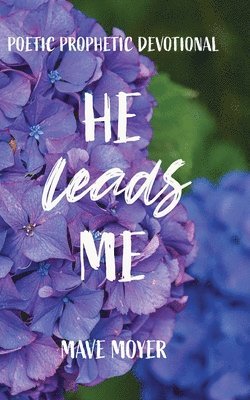 Mave Moyer - He Leads Me, Häftad