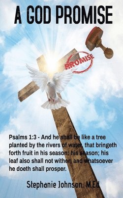 Stephanie Johnson - God Promise, Häftad