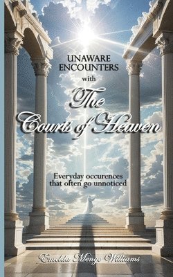 bokomslag Unaware Encounters with the Courts of Heaven