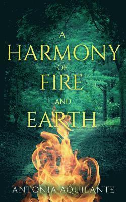 bokomslag Harmony of Fire and Earth