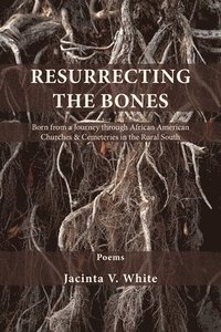 bokomslag Resurrecting the Bones