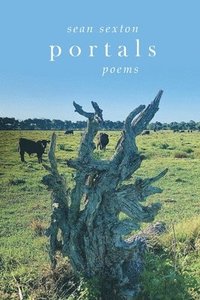 bokomslag Portals