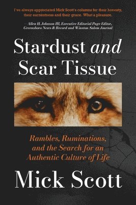 bokomslag Stardust and Scar Tissue