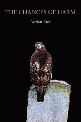 Adrian Rice - Chances of Harm, Häftad
