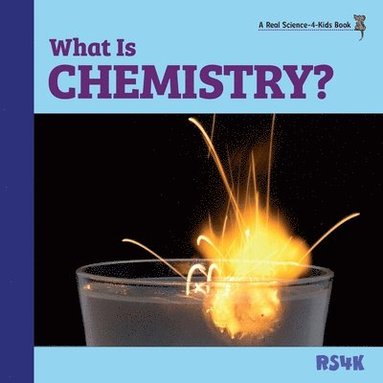 bokomslag What Is Chemistry?