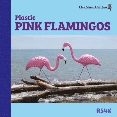 Rubber Rain Boots and Plastic Pink Flamingos 1