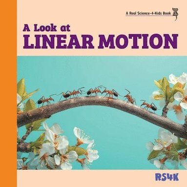 bokomslag A Look at Linear Motion