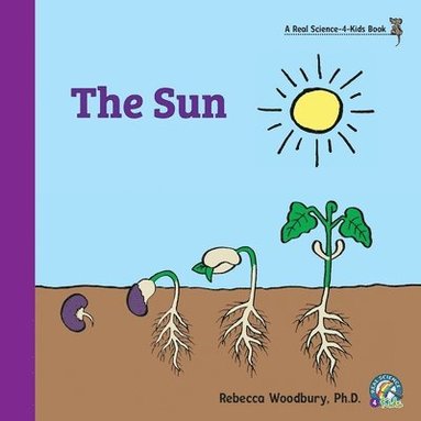 bokomslag Sun