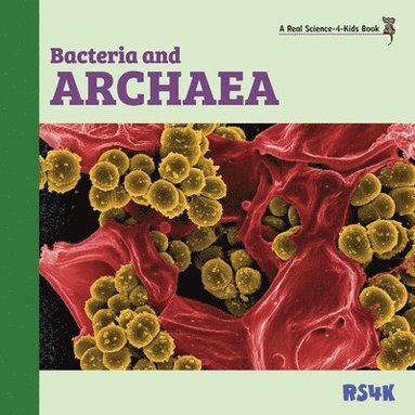 bokomslag Bacteria and Archaea