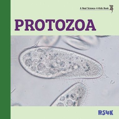 bokomslag Protozoa