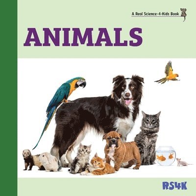 Rebecca Woodbury M Ed, Rebecca Woodbury M. Ed, Rebecca Woodbury Ph.D. M.Ed., Rebecca Woodbury M. Ed. - Animals, Häftad