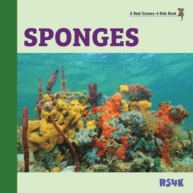 bokomslag Sponges