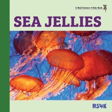 bokomslag Sea Jellies