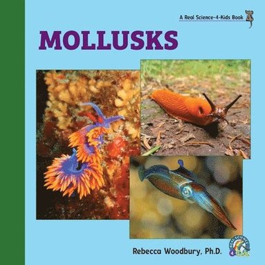 bokomslag Mollusks