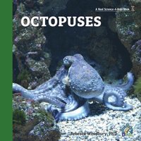 bokomslag Octopuses