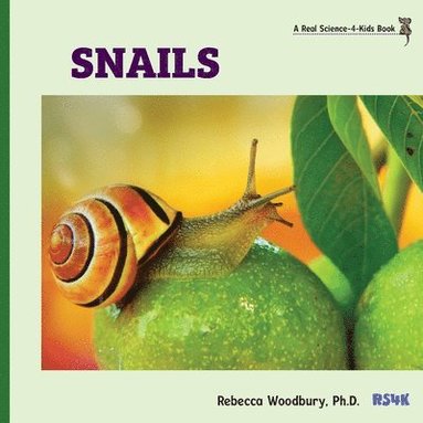 bokomslag Snails