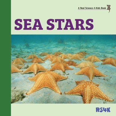 Sea Stars 1