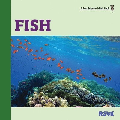 Rebecca Woodbury M Ed, Rebecca Woodbury M. Ed, Rebecca Woodbury Ph.D., Rebecca Woodbury M. Ed. - Fish, Häftad