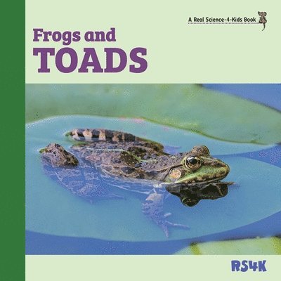 Frogs and Toads 1