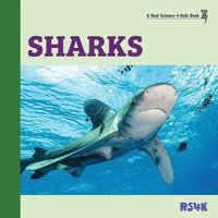 bokomslag Sharks