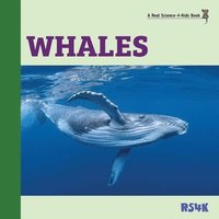 bokomslag Whales