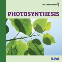 bokomslag Photosynthesis