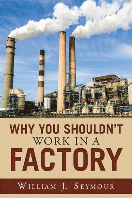 Why You Shouldn't Work in a Factory 1