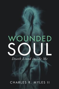 bokomslag Wounded Soul