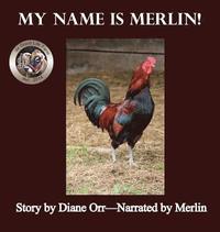 bokomslag My Name is Merlin