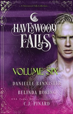C J Pinard, Belinda Boring, Danielle Bannister - Havenwood Falls Volume Six, Häftad