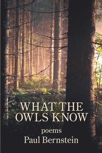 bokomslag What the Owls Know