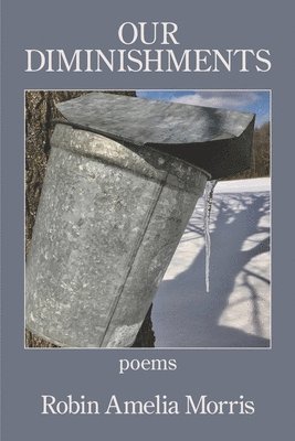 Robin Ameila Morris - Our Diminishments, Häftad