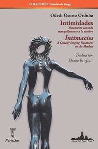 bokomslag Intimidades / Intimacies