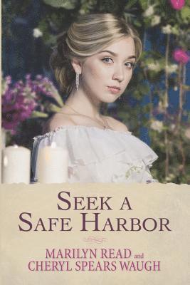bokomslag Seek a Safe Harbor