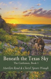bokomslag Beneath the Texas Sky
