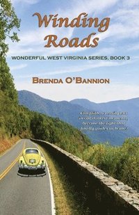 bokomslag Winding Roads