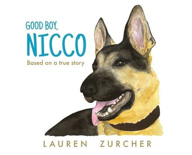 bokomslag Good Boy, Nicco