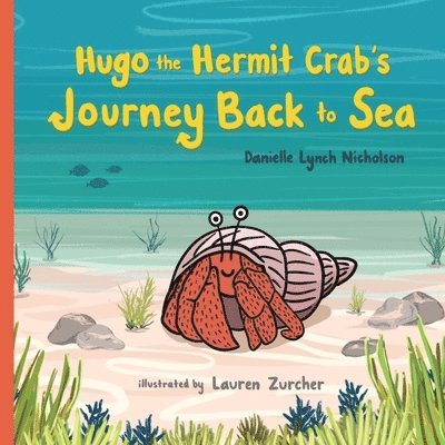 Hugo the Hermit Crab's Journey Back to Sea 1