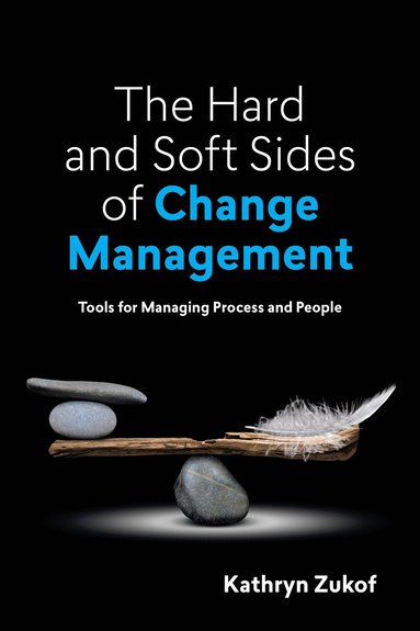 bokomslag Hard and Soft Sides of Change Management
