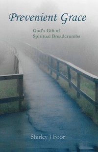 bokomslag Prevenient Grace: God's Gift of Spiritual Breadcrumbs