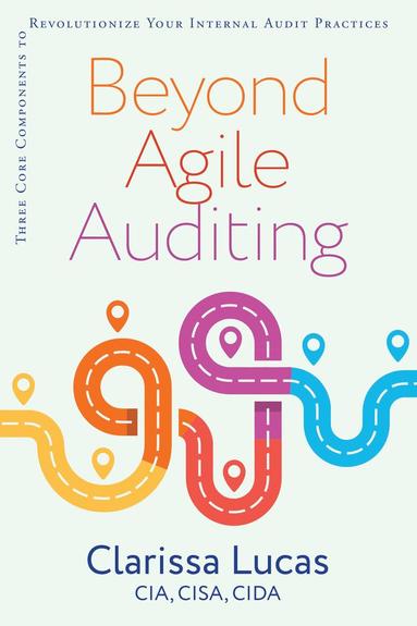 bokomslag Beyond Agile Auditing